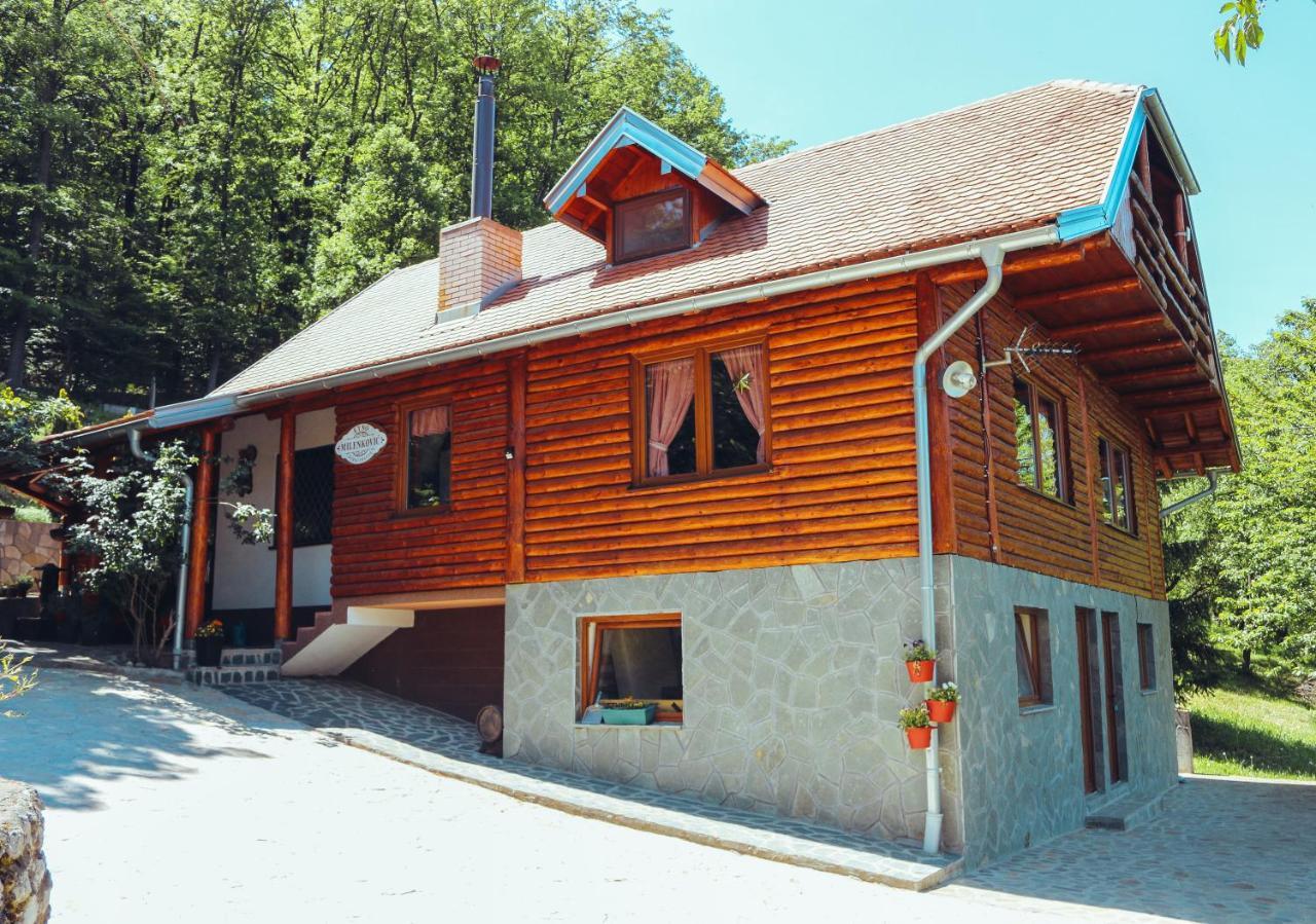 Villa Etno Domacinstvo Milenkovic Despotovac Exterior foto