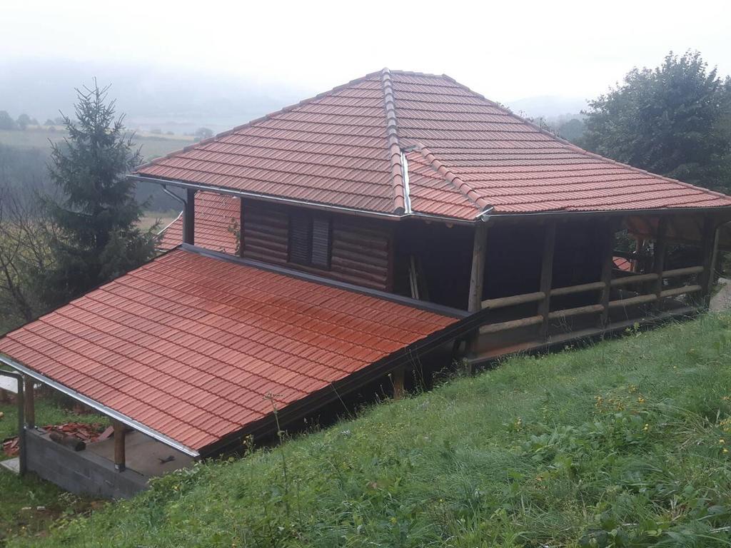 Villa Etno Domacinstvo Milenkovic Despotovac Exterior foto